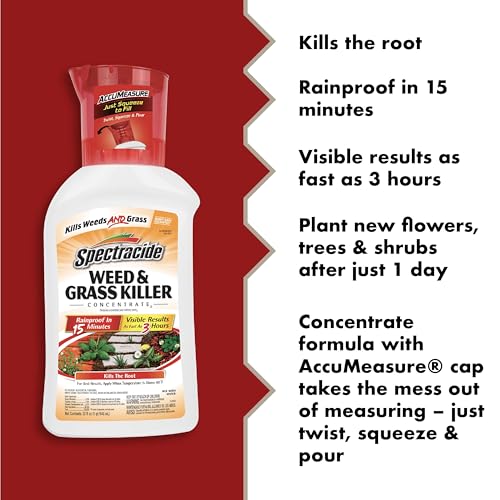 Image of Spectracide Weed and Grass Killer Concentrate, 32 Ounces, With Accumeasure System (Case of 6)