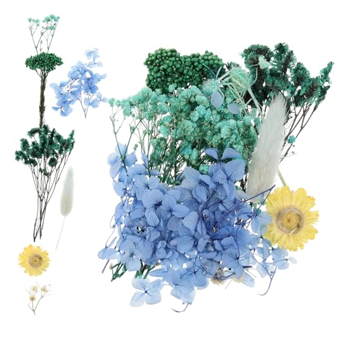 Flores prensadas naturales para manualidades 1 pack miniatura 1