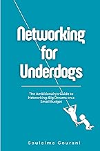 Networking for Underdogs: The Ambitionairy's Guide to Networking: Big Dreams on a Small Budget