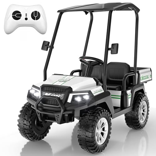 24V Kids Golf Cart w/Detachable Awning–4WD 2 Seater Ride on Car w/Large Storage Trunk, Remote...