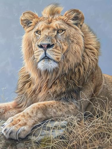 G , G LoX CI, DIY hG LoX ܂ ANyCg uV, Paint by Numbers for Adults, hG yCgoCio[, z[ ItBX, Mtg , H 