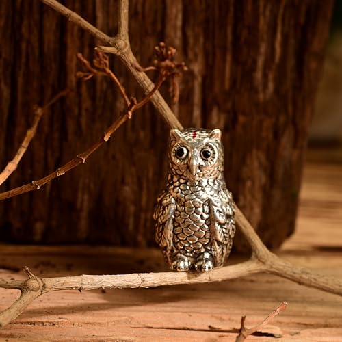 Image of DHRUVS COLLECTION 999 Silver Vastu Owl | Religious & Corporate Decorative Gifts | Handmade Owl Sculpture, Feng Shui Bird, Evil Eye Protection, Paper Weight, Home & Office Table Showpiece