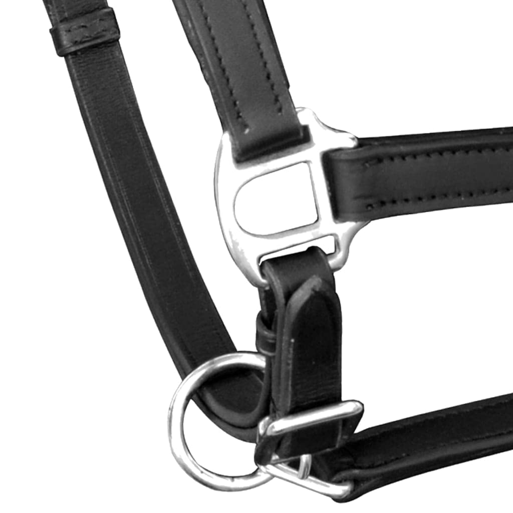 Cabestro de cuero real ajustable negro completo