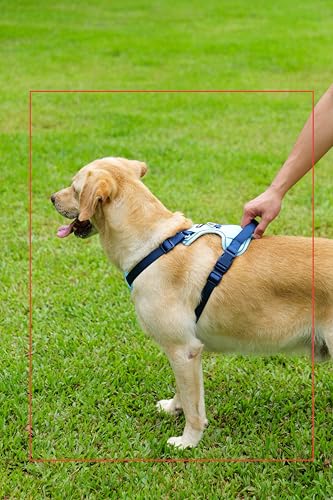 Lulupet No-Pull Dog Harness & Leash Set (Blue, Medium) — view 8