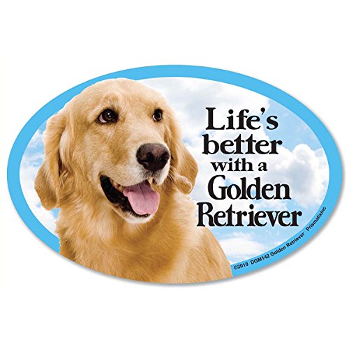 Imán Decorativo Perro Golden Retriever Vinyl