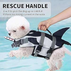 Dog life jacket vest for swimming boating shark large swim vests with chin floatreflective striperescue handle   cucciolini doodles