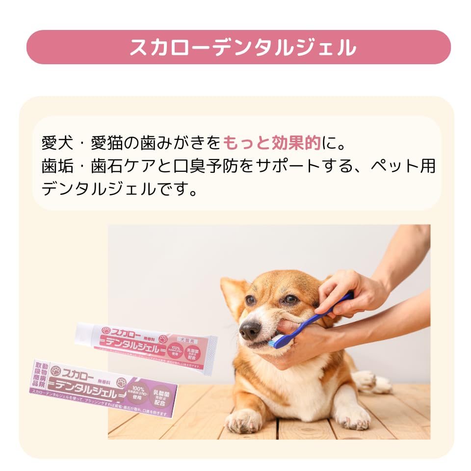【3個セット】スカロー　デンタルジェル　40g Amazon.co.jp: スカローデンタルジェル 犬猫用 無香料 歯磨きジェル 歯