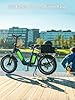 HAOQI 750W(Peak 1300W) Electric Cargo Bike, 48V 27.8AH Dual Battery Electric Bike 90-120 Miles Range 20" * 4" Fat Tire 450LBS Weight Capacity Ebike with Front &Rear Baskets #5