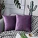 UPOPO Cojines Sofa Terciopelo Funda Decorativos Cojin Salon Cama para Super Suave Fundas Dormitorio Habitacion 2 Piezas de Color Sólido De Cojín Suave De Estar Cremalleras 50 X 50 cm Morado Claro