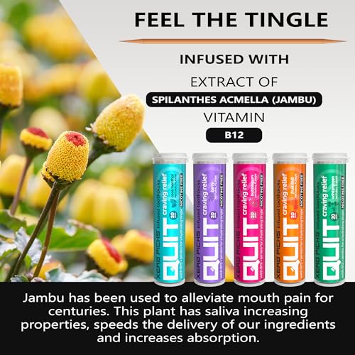 xero picks infused flavored toothpicks to help quit smoking - nicotine free variety pack 20 count pack of 5 non-gmo kosher vegan