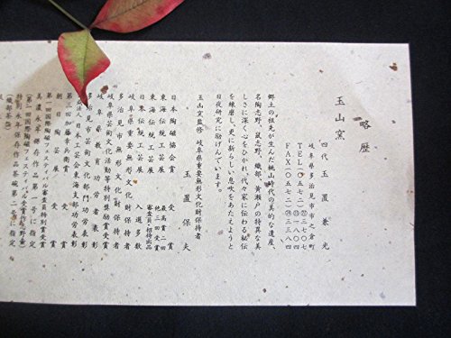 Amazon.co.jp: 玉山窯 玉置保夫 監修 織部 輪花 椿 小鉢 (1客