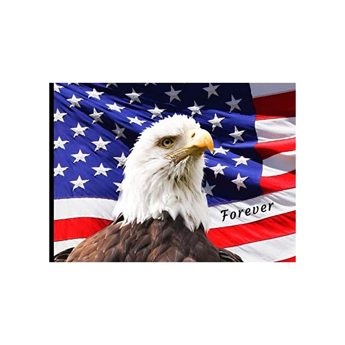 Buy Forever Funeral Guest Book American Patriot Flag Bald Eagle 