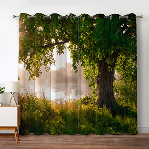 Jekeno Oak Tree Forest Blackout Curtains Green Tree Jungle Nature Landscape Foggy Scenery Stream View Print Decor for Bedroom Living Room Grommet Window Drapes 2 Panel Set, 52"x84"