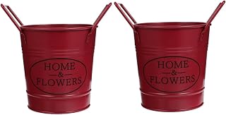 YARNOW 2piezas Mini De Metal con Lata para Cubo para Jardín y Decoración De Color Rojo