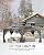12'x20' All-Weather Gazebo, Metal Hardtop Gazebo with Double Metal Roof, Aluminum Alloy Frame, Netting & Curtains for Patio/Deck/Backyard/Lawn/Garden, Gray