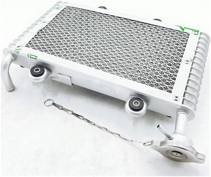 Silver Three-hole Water Tank Radiator For B200CC 250CC ATV