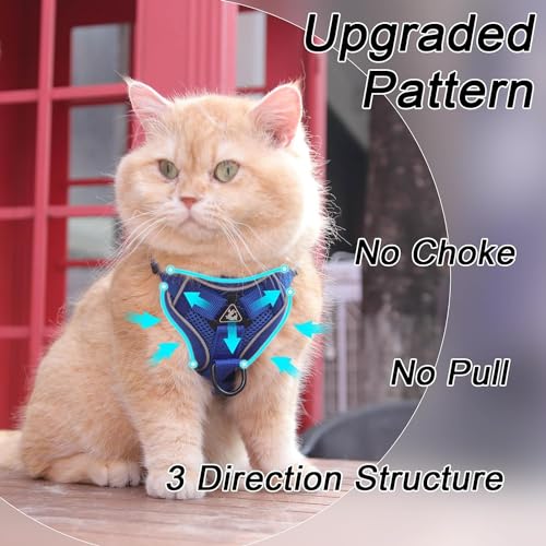 Vest Harness Leash Set for Small Dog Large Cat, Klein Blue, XL - Image 4
