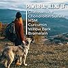 ACTIVPHY-Hip-Joint-Mobility-Collar-with-Glucosamine-Chondroitin-MSM-and-More-Convenient-Easy-30-Days-of-Continuous-Support-Water-Resistant-MedLarge ACTIVPHY Hip + Joint Mobility Collar with Glucosamine, Chondroitin, MSM, and More - Convenient & Easy - 30 Days of Continuous Support - Water Resistant (Med/Large)