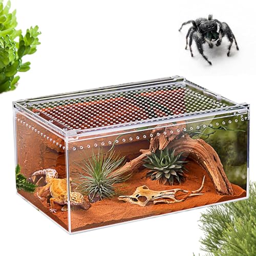 WJnflQN �N��| �A�N������ ঒��� �P�[�W | ������,�Q�b�R�[ �w�r �J�����I�� �J�� �p