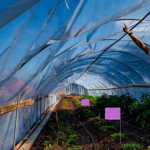 YARNOW 50 Stück Wahrzeichen-Flagge Landschaftsfahnen Rasenmarkierungsfahnen Markierungen für Einfahrtsflaggen Pflanzen Gartenfahnen Markierungen für Rasenfahnen Hofflaggen PVC Violett