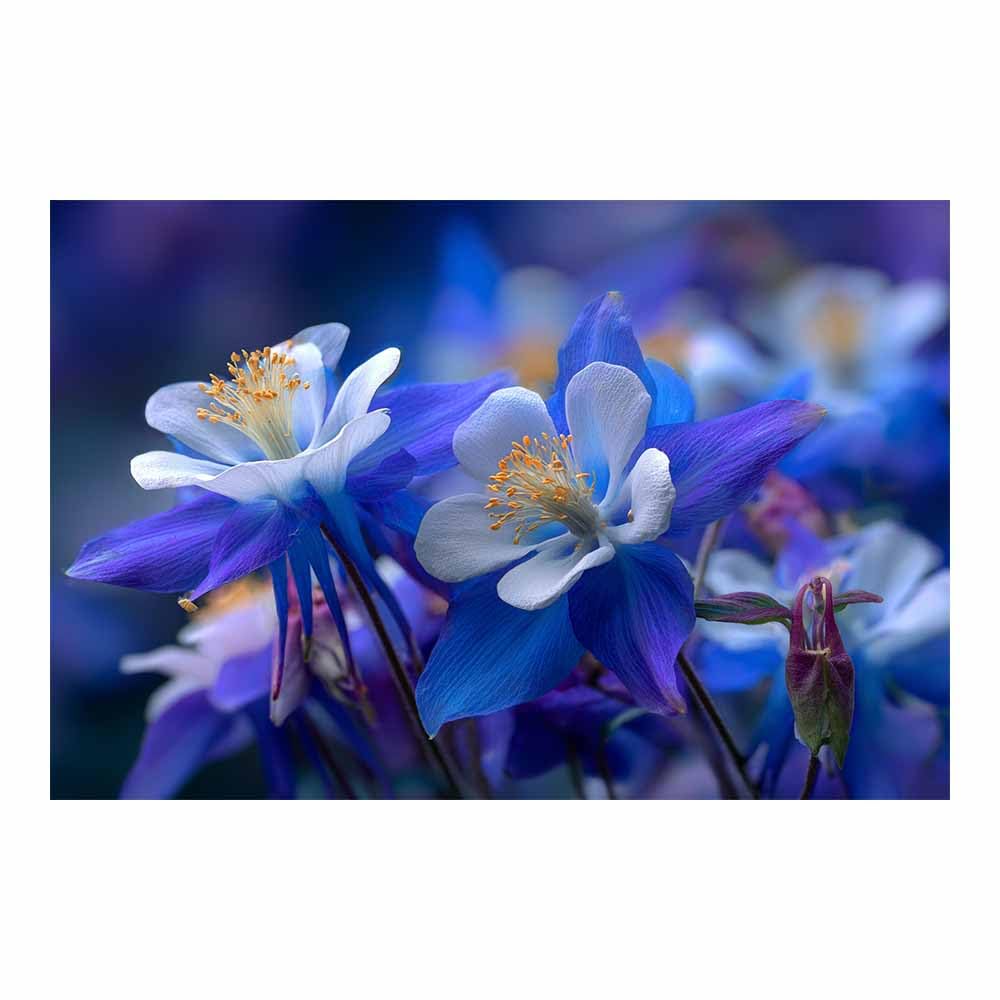 ZAMAEIU Landscape Pictures For Wall Spindle Flower art prints and posters, Suitable for Living Room Bedroom Decor apartment Wall Decoration(blue)-80x120cm Unframed