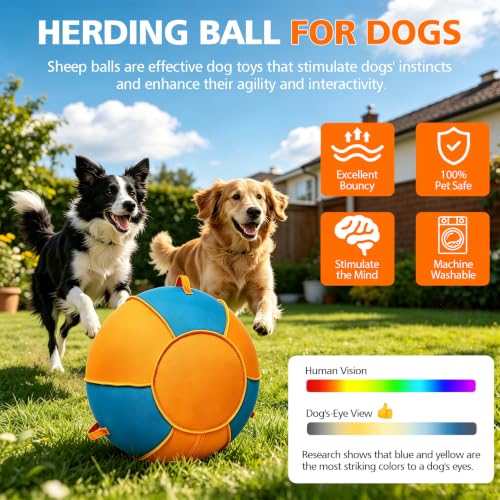 Image of 18 Inch Dog Herding Ball with 3 Handles - Anti-Burst Toy for Small Breeds