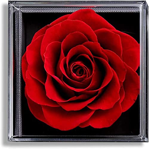 Elekin Eternal Rose Geschenkdoos, Eeuwige Bloem Geschenkdoos Met Oorbellen en Ketting, Voor Vrouw Verjaardagscadeau, Moeder Cadeau, Vakantie Cadeau, Valentijnsdagcadeaus, Kerstcadeaus - Afbeelding 5