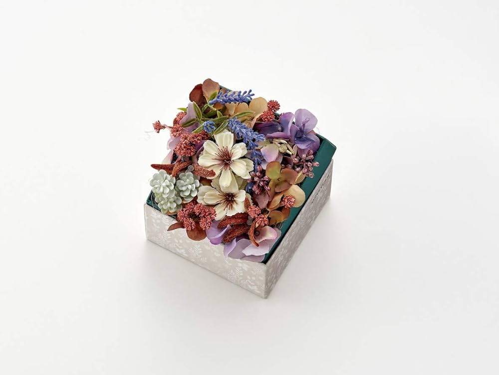 Amazon.co.jp: 【Amazon.co.jp限定】アナと雪の女王2 MovieNEX