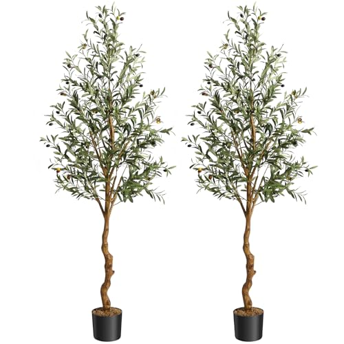 GAOMON Artificial Olive Tree 6FT(72in) Tall Faux Olive Trees with Silk Leaves for Home Office Living Room Decor Indoor Fake Olive Tree with Curved Wood Trunk and Lifelike Fruits Set of 2