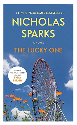 The Lucky One view 2