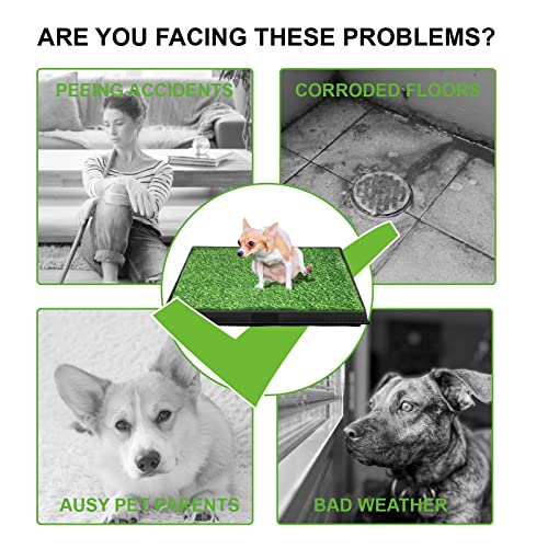 Grass Pad for Dogs Dog Grass Pad with Tray Puppy Turf Potty Reusable Training Pads for Indoor Outdoor Use 2 Artificial Grass Puppy Patch for Large and Small Pets Dog Litter Box 25 X 20  Cucciolini Doodles Grass pad for dogs dog grass pad with tray puppy turf potty reusable training pads for indoor outdoor use 2 artificial grass puppy patch for large and small pets dog litter box 25 x 20   cucciolini doodles