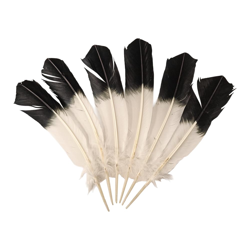 Turkey Feather (Eagle Style), Pack of 6