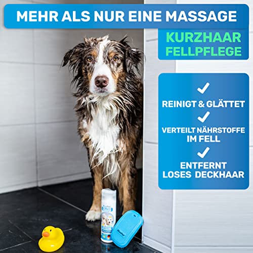 Hundebürste BluePet FellFein für sanfte Fellpflege