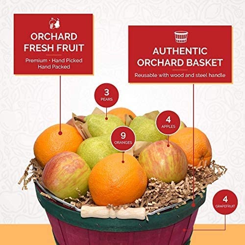 Get Well Soon Gift Basket - Send Well Wishes With Fresh Fruit Delivered - Premium Pears, Apples, Oranges, Grapefruit #TOP7