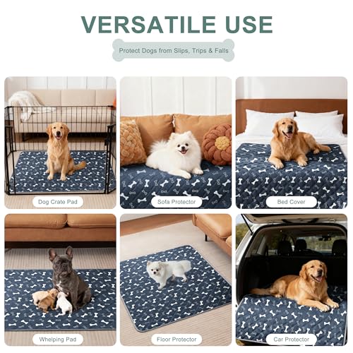 Image of Eterish Reusable Washable Pee Pads for Dogs Large /Extra Large 36'' x 41'' 2 Pack, Absorbent Pet Puppy Dog Training Pads Non-Slip, Waterproof Whelping Potty Pads for Dogs Leak-Proof