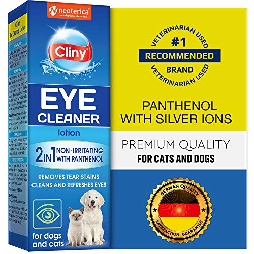 How to Clean Dog's Eyes Quick and Safe Tips & Tricks for Easy Cleaning