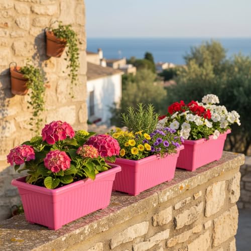 Image of Bianco Rectangular Plastic Pots for Plants, Jupiter Flower Pots for Home, Window Display, Garden (35 x 18.5 x 15 cm) (Pink) (Pack of 3)
