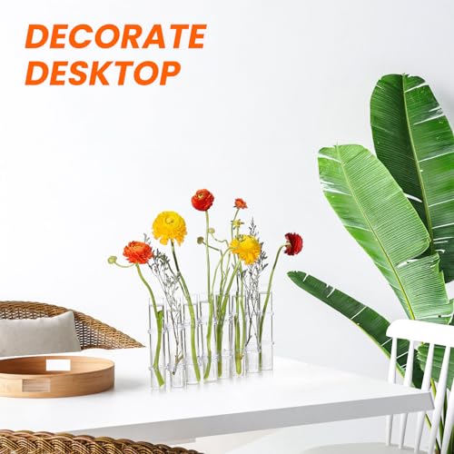 Vase hydroponique transparent Cabilock 15x2,2 cm pour plantes - 8
