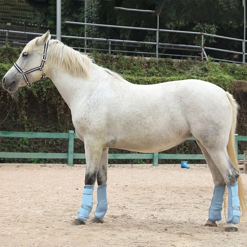 Image of Horse Fly Boots, Mesh Fly Boots for Horse Set of 4, Equine Leg Protection