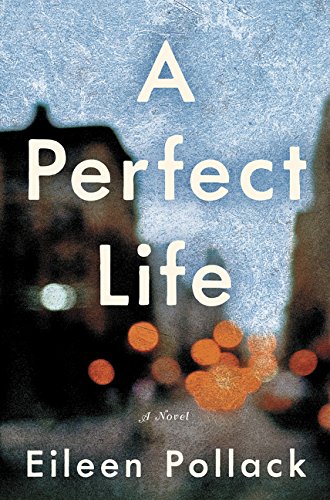 A Perfect Life 006241917X Book Cover