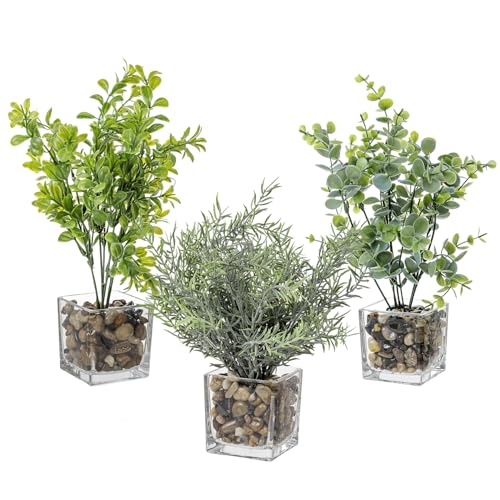 MyGift Artificial Rosemary Eucalyptus and Boxwood Plants Potted in Clear Glass Square Pots, Assorted Faux Greenery Indoor Home Table Centerpiece Office Desk Decor, 3 Piece Set