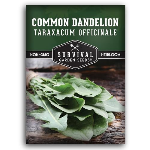 Common Dandelion Seeds for Planting - Plant & Grow Nutritious Dandelion Greens in Your Home Herb or Vegetable Garden - Non-GMO Heirloom - Survival Garden Seeds (1 Pack)