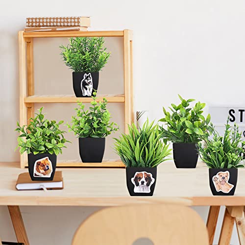 LELEE Artificial Plants Mini Potted Plants, 6 pcs Small Eucalyptus Potted Faux Decorative Grass Fake Plant with White Pot for Home Decor, Indoor, Office, Shelf, Desk, Table Decoration