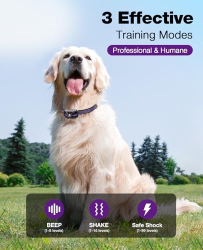 Image of Bousnic Dog Shock Collar - 3300Ft Training Collar with Remote for 5-120lbs Small Medium Large Dogs Rechargeable Waterproof e Collar with Beep (1-8), Shake(1-16), Safe Shock(1-99) Modes (Lightpurple)