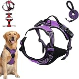 Fellstern Anti Zieh Geschirr, Adjustable, Soft Harness with Step-In Design, Breathable & Padded, for Relaxed Walking, No Pull Control, for Dogs of (Purple, S)