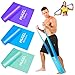 Fitnessbänder Set Lang Fitnessband widerstandsbänder krafttraining Theraband Resistance band Widerstandsband Gymnastikband Trainingsband für Muskelaufbau Crossfit Gymnastik Yoga Für Männer Frauen