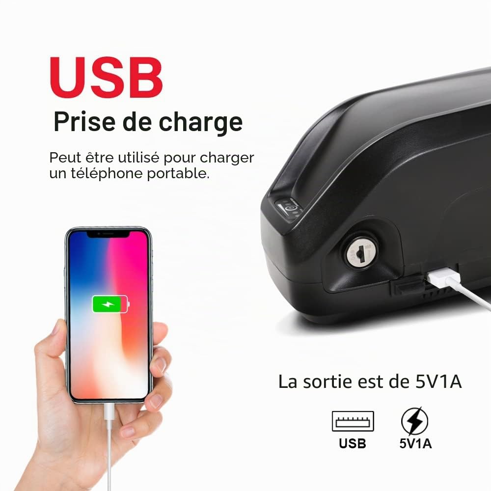 SEASON Batterie Ebike Hailong 36V 48V 52V 13-20Ah Batterie de vélo électrique convient pour vélo électrique 1000W / 750W / 500W, Batterie lithium-ion 4 broches avec chargeur