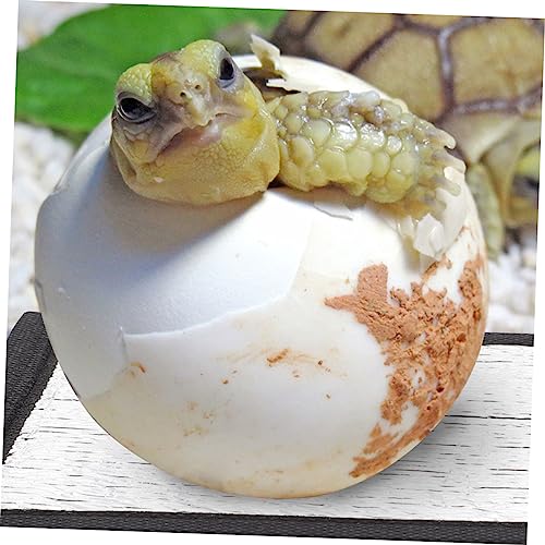 4 pads calefactores para reptiles con película reflectante miniatura 2