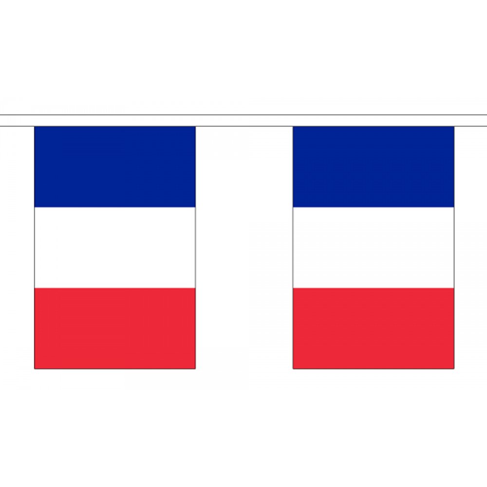 Flagtex France Fabric Bunting – 3m with 10 Flags – Indoor & Outdoor Decoration – String Flags Banners French Western Europe Tricolore — image 1