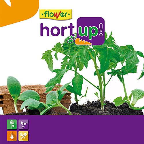 Flower 55043 – Anzuchttöpfe, biologisch abbaubar, quadratisch, 18 Stück, 8 x 8 cm